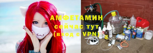 ГАЛЛЮЦИНОГЕННЫЕ ГРИБЫ Абаза