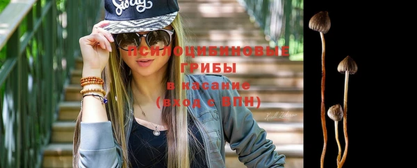 амф Абдулино