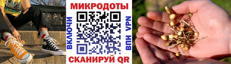 цены наркотик  Усмань  дарк нет Telegram  Галлюциногенные грибы GOLDEN TEACHER 